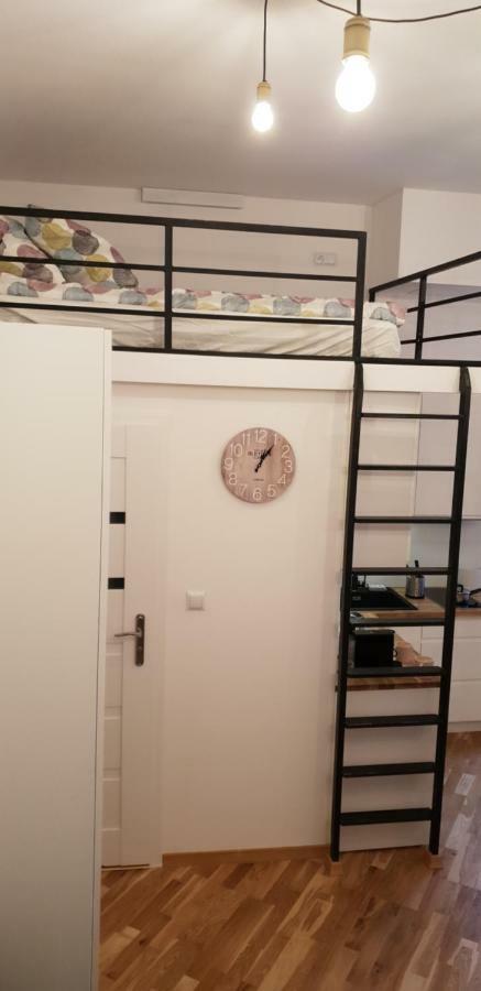 Apartment Lenartowicza كراكوفيا المظهر الخارجي الصورة
